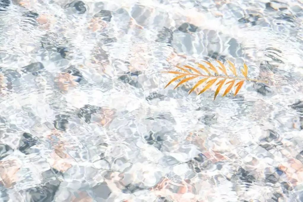 1632298233125925.jpg 1632298233125925.jpg