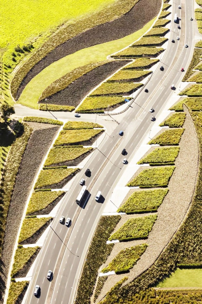 1632298284120867.jpg 1632298284120867.jpg