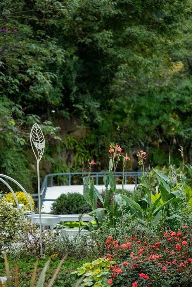 1632298440197223.jpg 1632298440197223.jpg