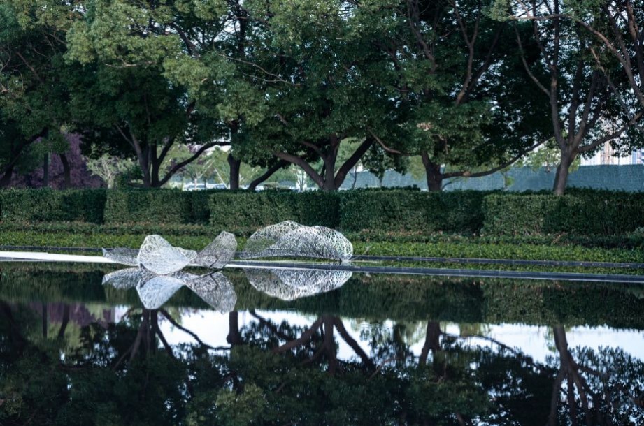 1632298465858588.jpg 1632298465858588.jpg