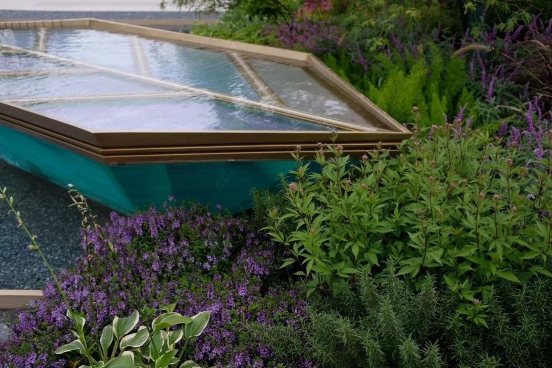 1632298492849066.jpg 1632298492849066.jpg