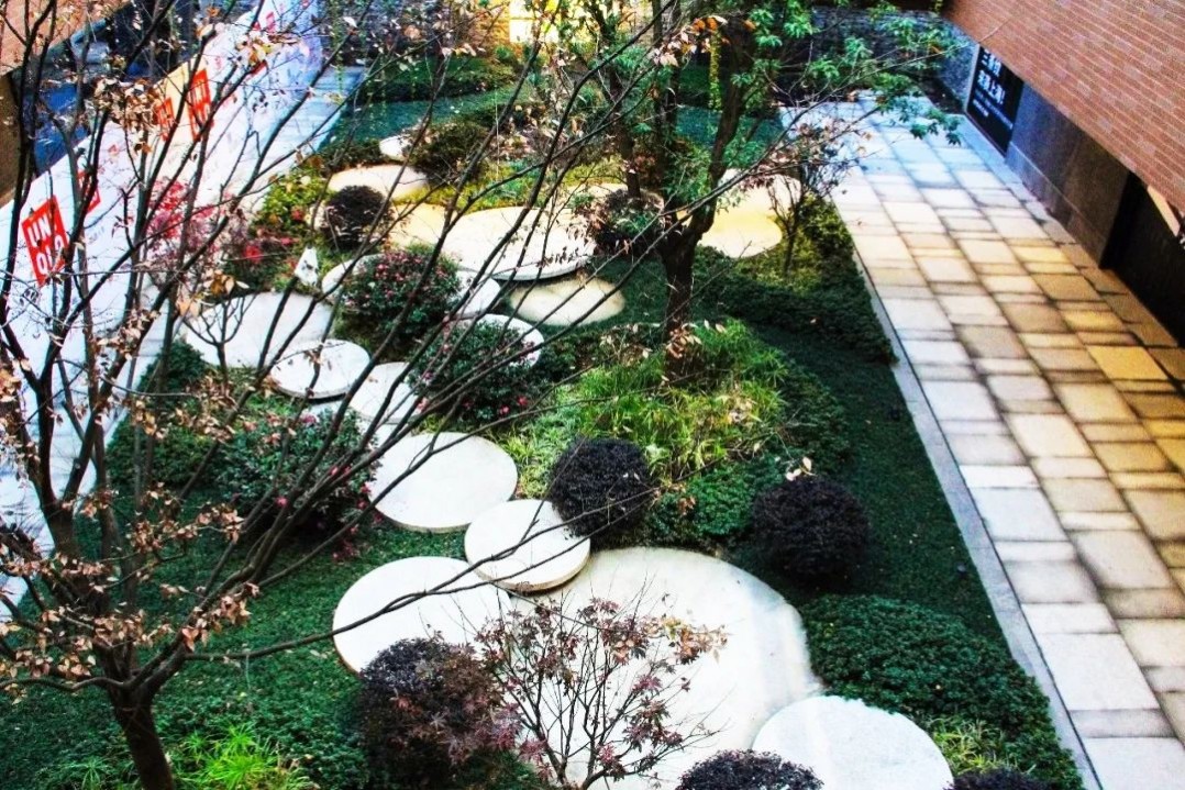 1634804773139733.jpg 1634804773139733.jpg