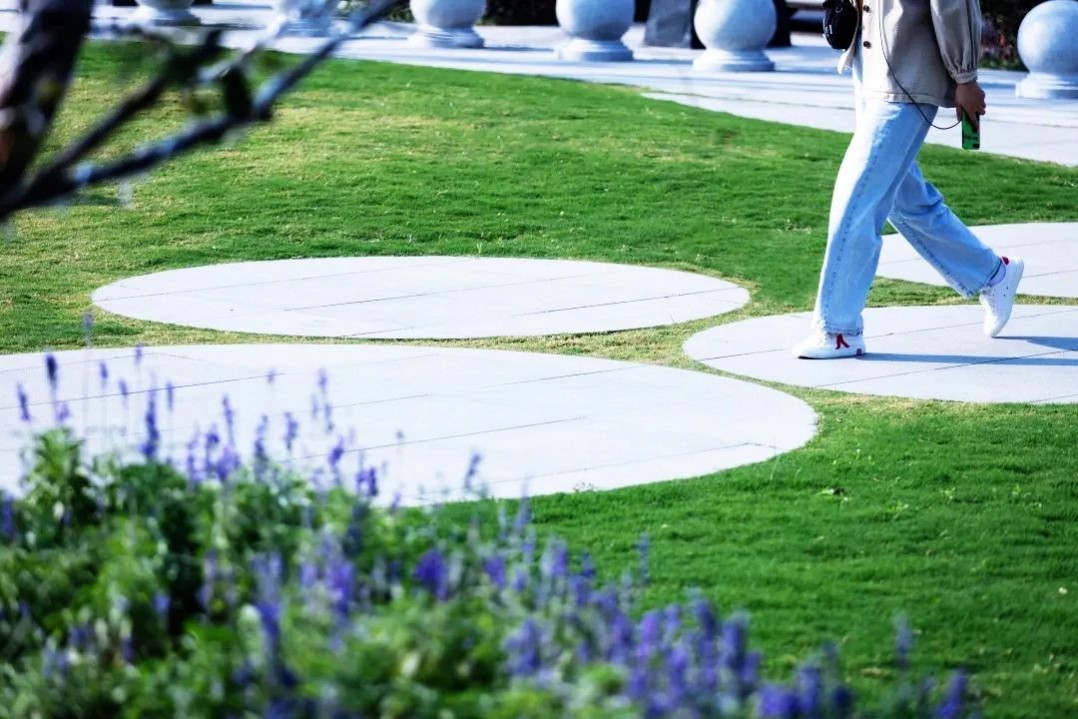 1634805216108711.jpg 1634805216108711.jpg