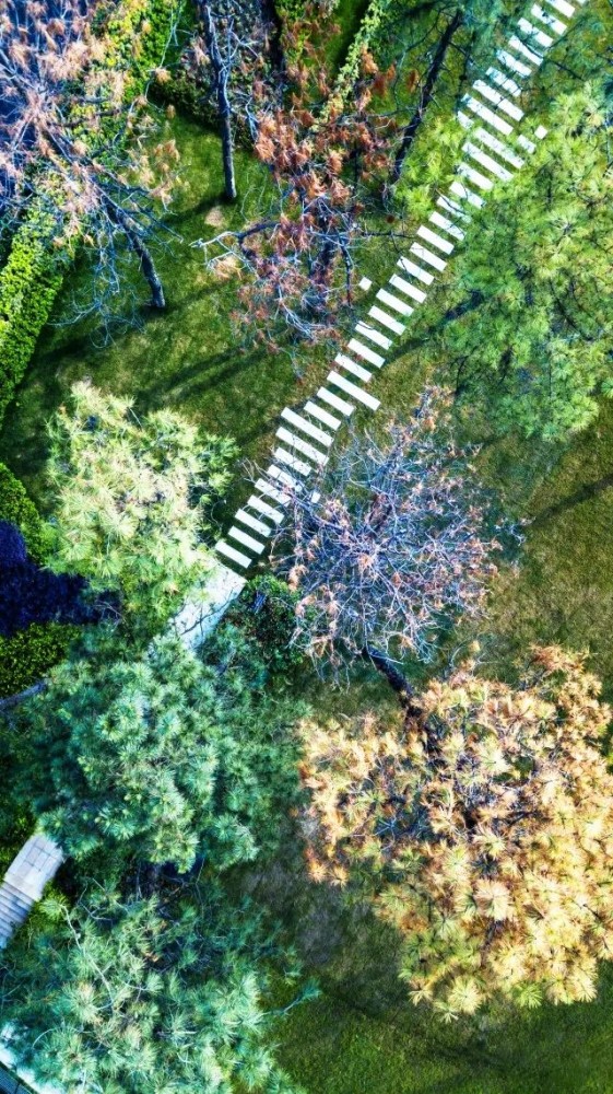 1634805247101628.jpg 1634805247101628.jpg