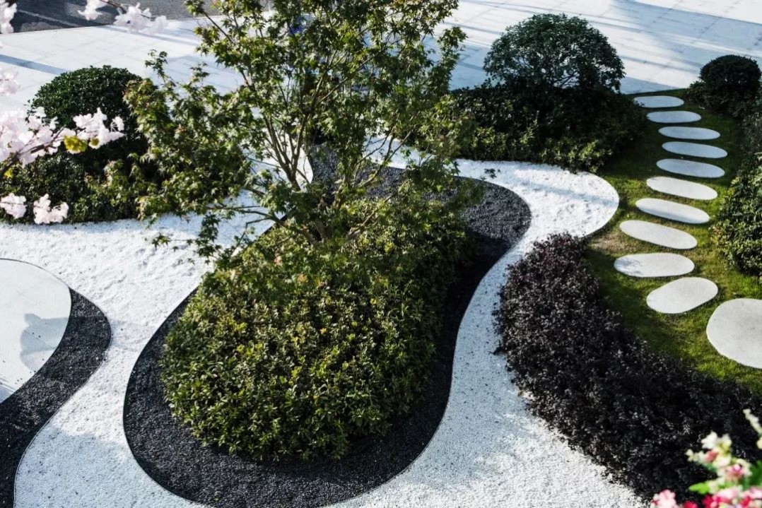 1634805367459541.jpg 1634805367459541.jpg