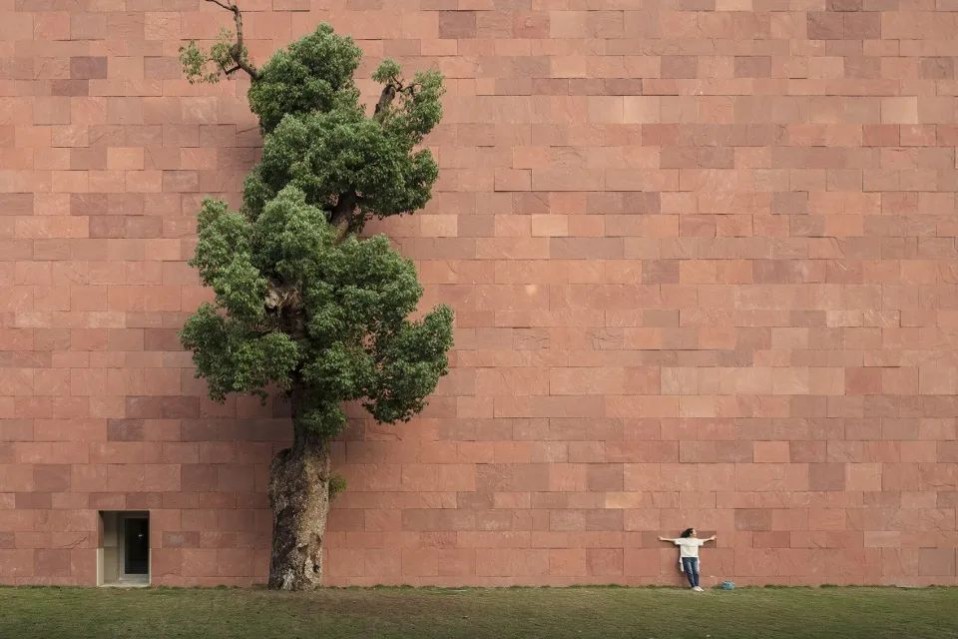 1639469264133514.jpg