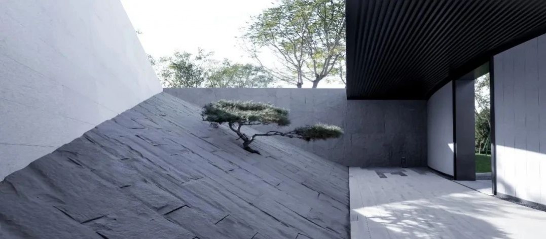 1639557588620314.jpg