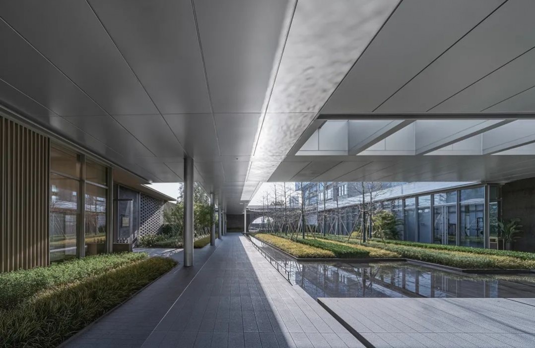 1652423250827498.jpg 1652423250827498.jpg