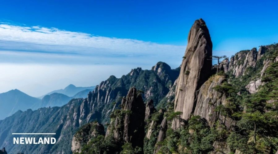 1657591148137273.jpg 微信图片_20220712095542.jpg