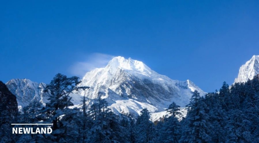 1657591216133511.jpg 微信图片_20220712095559.jpg